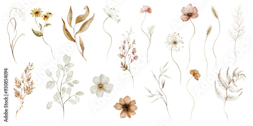 Fototapeta Naklejka Na Ścianę i Meble -  Watercolor floral illustration - wildflowers individual element set. Autumn fall dried flowers leaves branches. Wedding invitations prints wallpapers fashion background. Yellow white silver dull.