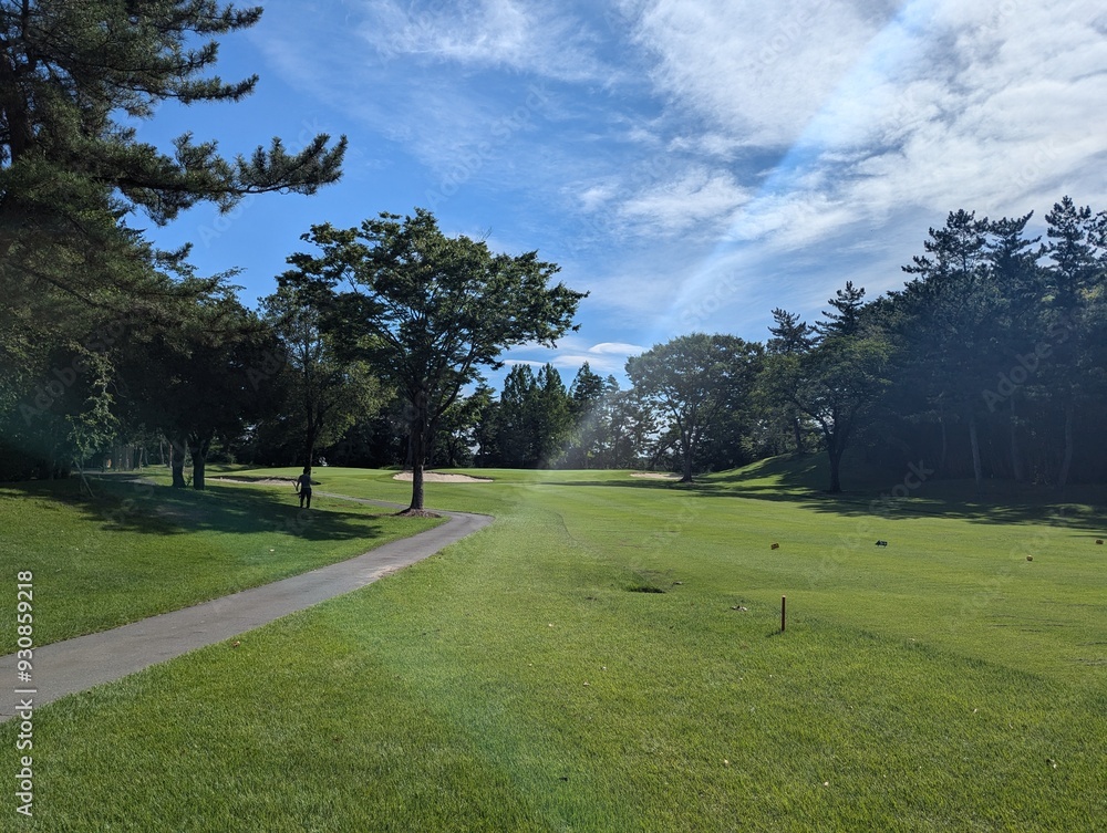 Fototapeta premium path in the park