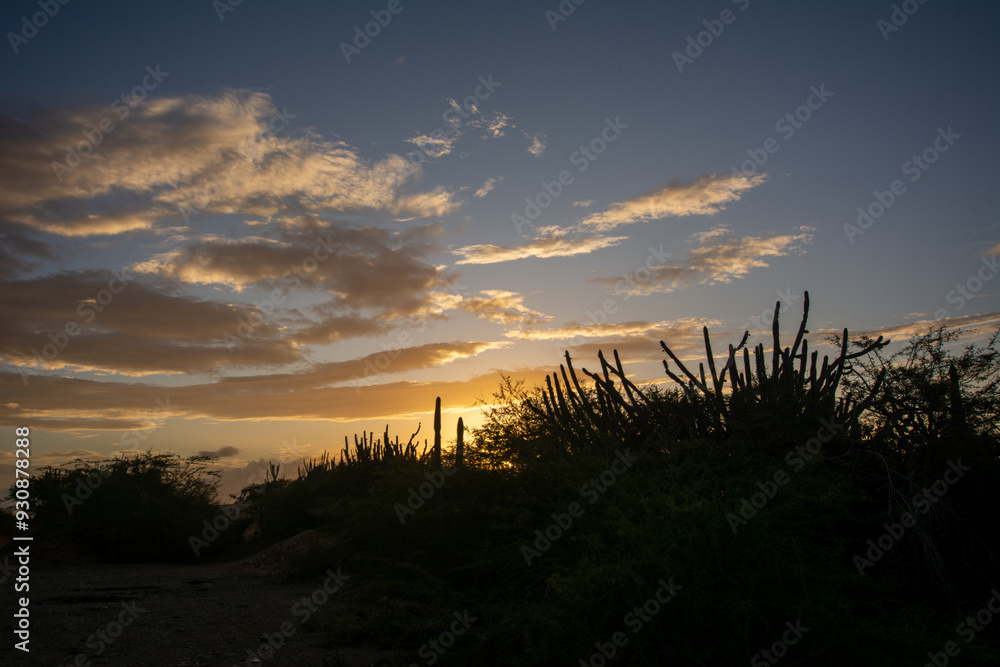 Obraz premium Road to the mountain. Arid mountains. Paths through the mountains with cacti and xeric vegetation. Red earth.
