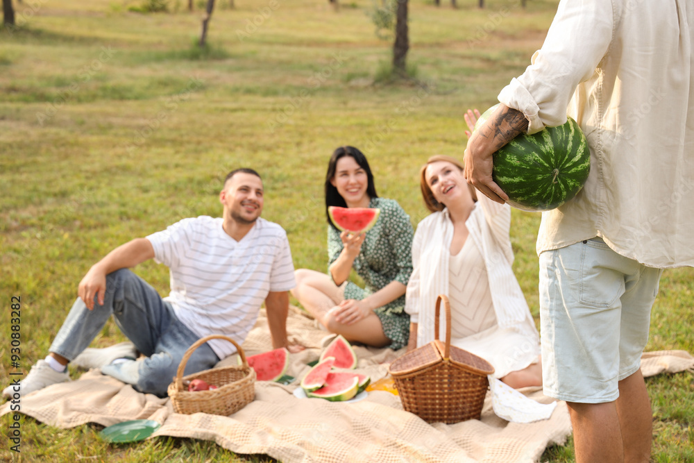 Young man bringing watermelon to his friends on picnic in park, back view Young man bringing watermelon to his friends on picnic in park, back view