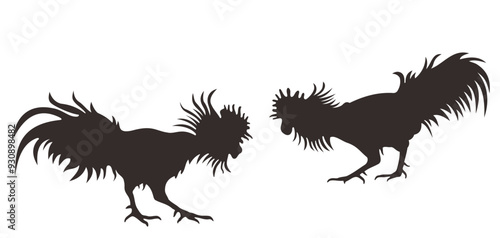 silhouette of fighting rooster