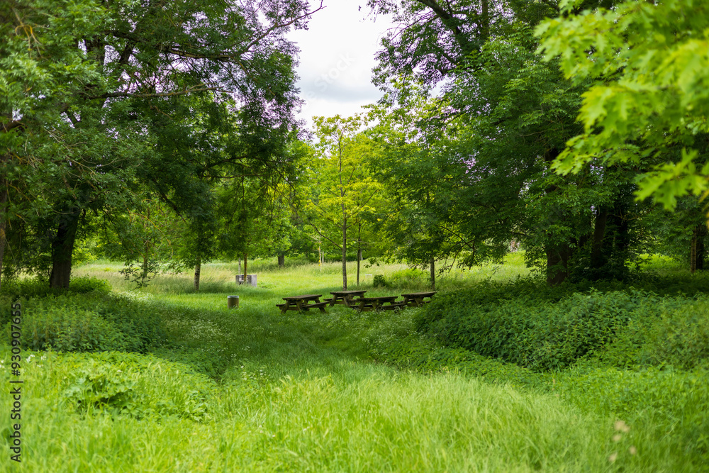 A secluded picnic area nestled within a lush, green woodland in Chalette-sur-Loing, France A secluded picnic area nestled within a lush, green woodland in Chalette-sur-Loing, France