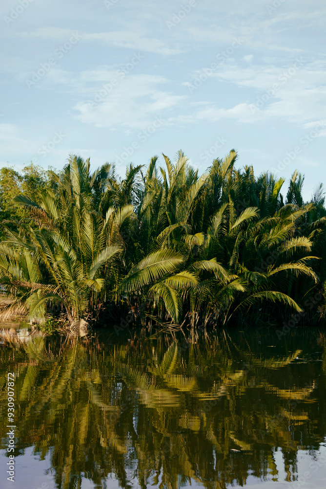 Picture of palm trees and their reflections on the river