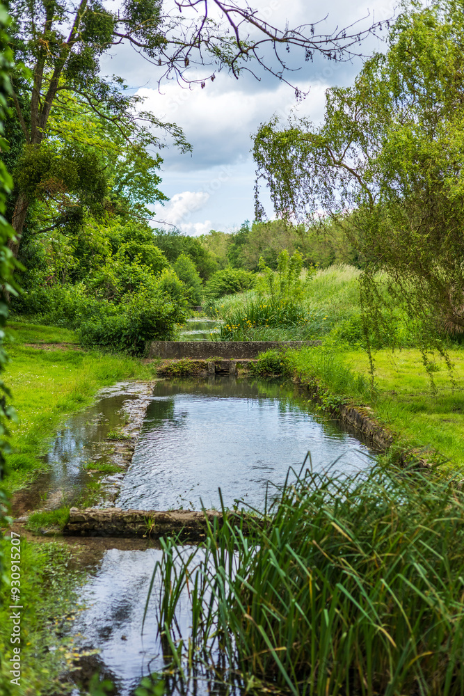 A tranquil stream meandering through lush greenery in the serene countryside of Nargis, France A tranquil stream meandering through lush greenery in the serene countryside of Nargis, France