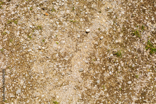 Rocky Soil Texture with Sparse Greenery