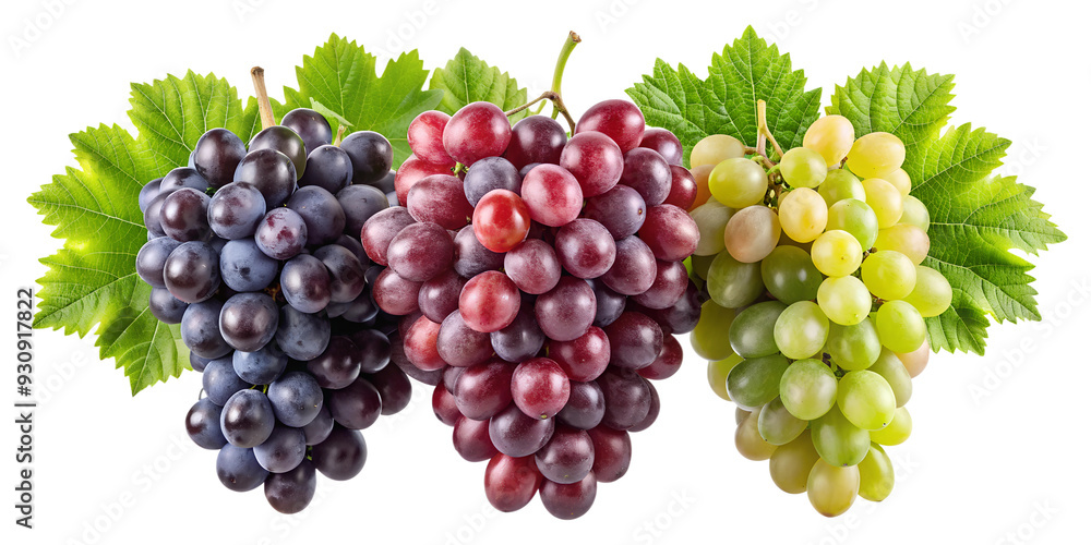 red and green grapes isolated on transparent background png red and green grapes isolated on transparent background png