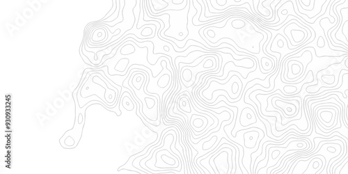 Vector seamless wave stripe topography map pattern camping grid cartography diagram black and white geometric carve wave line. abstract landscape topography line map wavy texture design background.