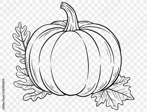 Outline pumpkin hand draw with brush style isolated on png or transparent texture,Halloween party background ,element template for poster, brochures, online advertising, vector illustration 