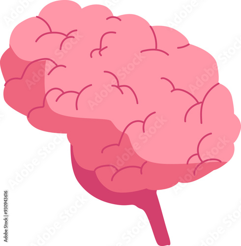 A pink brain with intricate folds