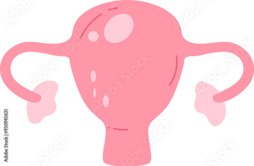 This illustration depicts the female reproductive system