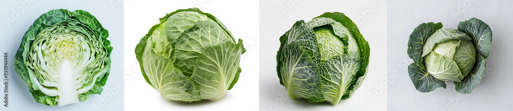 Fresh Cabbage Collage: Four Perspectives. Four images showcasing a fresh green cabbage, including whole heads and a cross-section view, set against a clean white background. Fresh Cabbage Collage: Four Perspectives. Four images showcasing a fresh green cabbage, including whole heads and a cross-section view, set against a clean white background.