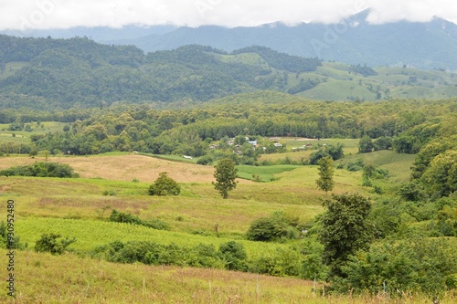  landscape of corn field in the mountain