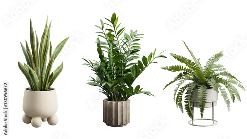 Small Potted Plants on Transparent Background photo