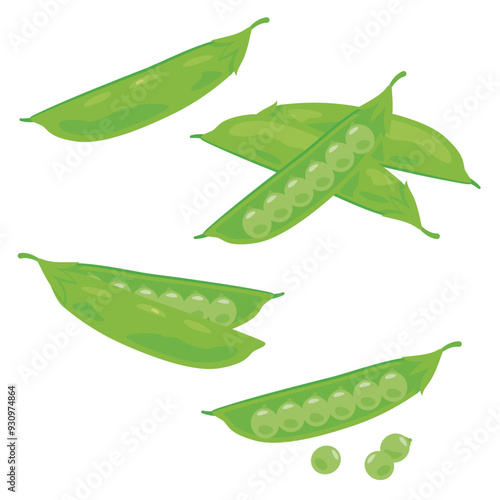 えんどう豆　セット