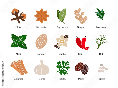 spices assortment clove star anise ginger bay leaves rosemary nutmeg chili garlic cinnamon dill vanilla and parsley seasoning