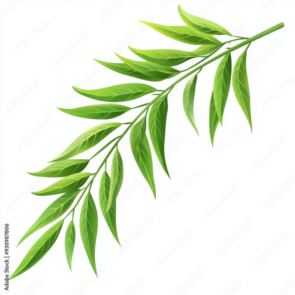 vector graphic of willow leaves vector graphic of willow leaves