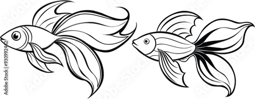 Angel fish vector illustration 
