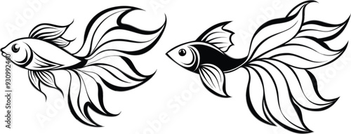 Angel fish vector illustration 