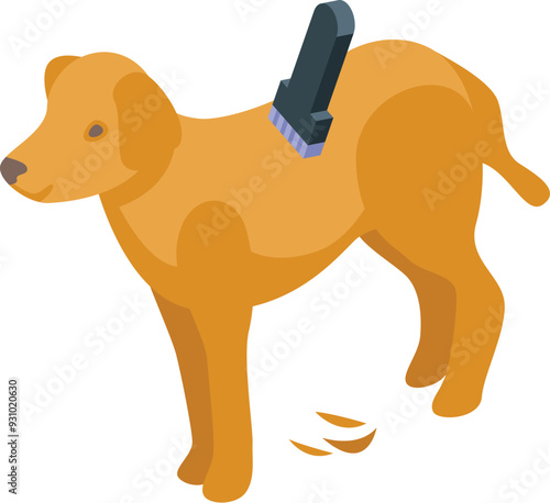 Dog groomer brushing a dog to remove its winter undercoat