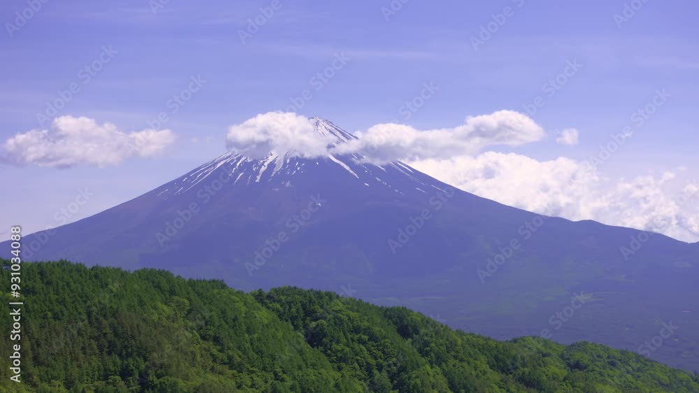 緑の山林越しに望む冠雪した富士山と雲のタイムラプス映像(ズームイン) 緑の山林越しに望む冠雪した富士山と雲のタイムラプス映像(ズームイン)