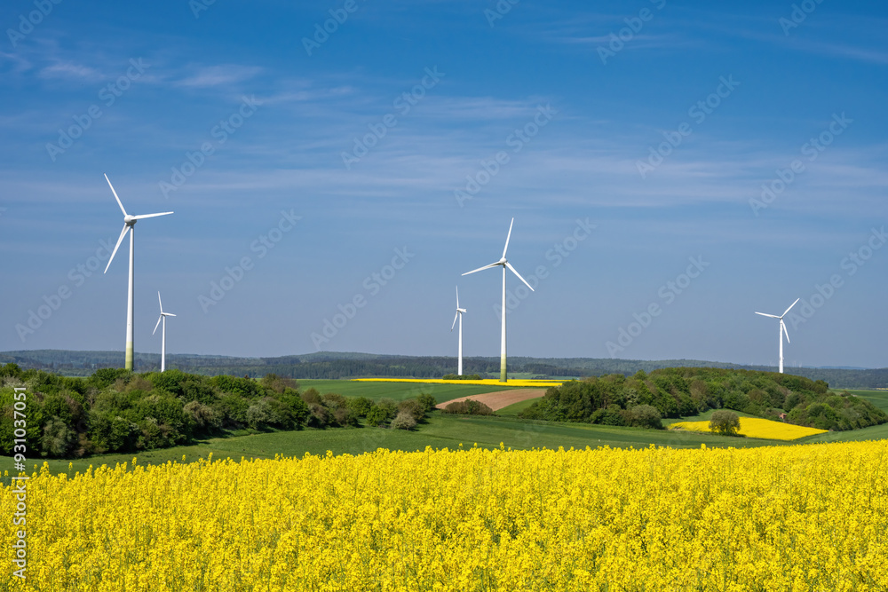 Rural landscape with yellow canola fields and wind turbines seen in Germany Rural landscape with yellow canola fields and wind turbines seen in Germany