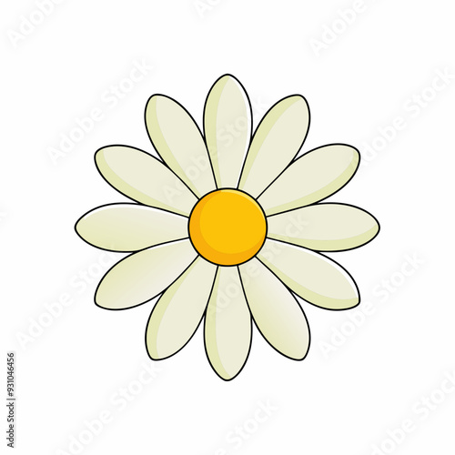 Chamomile isolated on white, daisy vector illustration, daisy vector art, daisy silhouette, flowers icon, chamomiles line art, eps