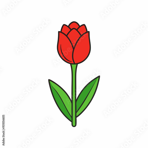 Tulip isolated on white, tulip vector illustration, tulip vector art, tulip silhouette, flowers icon, rose line art, eps