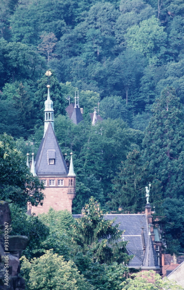 View of houses with forest on the hill at old town in Heidelberg Germany View of houses with forest on the hill at old town in Heidelberg Germany