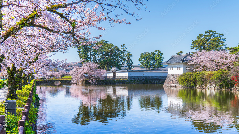 春の小田原城址公園、桜咲くお堀の風景【神奈川県・小田原市】
Scenery of Odawara Castle Park in spring. - Kanagawa, Japan 春の小田原城址公園、桜咲くお堀の風景【神奈川県・小田原市】
Scenery of Odawara Castle Park in spring. - Kanagawa, Japan