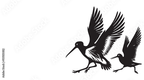 American Oystercatcher Silhouette, Pied Oystercatcher Bird Clipart,  American Oystercatcher chasing another bird illustration in black and white