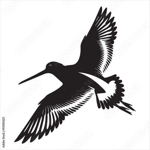 American Oystercatcher Silhouette, Pied Oystercatcher Bird Clipart,  American Oystercatcher flying illustration in black and white
