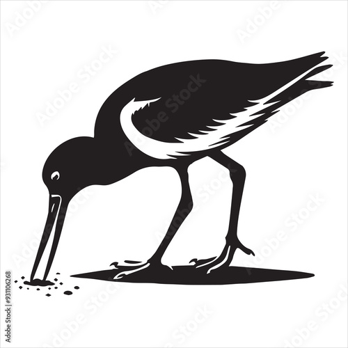 American Oystercatcher Silhouette, Pied Oystercatcher Bird Clipart,  American oystercatcher foraging illustration in black and white