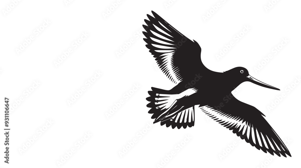 Fototapeta premium American Oystercatcher Silhouette, Pied Oystercatcher Bird Clipart, American Oystercatcher gliding in flight illustration in black and white 