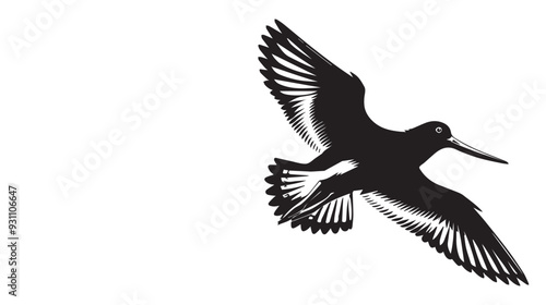 American Oystercatcher Silhouette, Pied Oystercatcher Bird Clipart,  American Oystercatcher gliding in flight illustration in black and white

