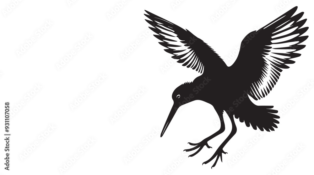 Fototapeta premium American Oystercatcher Silhouette, Pied Oystercatcher Bird Clipart, American Oystercatcher hovering illustration in black and white 