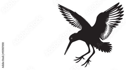 American Oystercatcher Silhouette, Pied Oystercatcher Bird Clipart,  American Oystercatcher hovering illustration in black and white
 photo