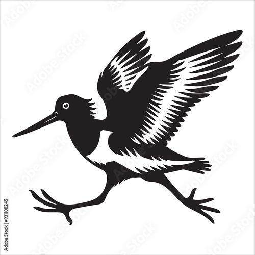 American Oystercatcher Silhouette, Pied Oystercatcher Bird Clipart,  American oystercatcher running illustration in black and white

