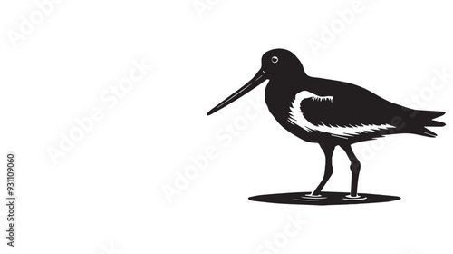 American Oystercatcher Silhouette, Pied Oystercatcher Bird Clipart,  American Oystercatcher standing illustration in black and white
