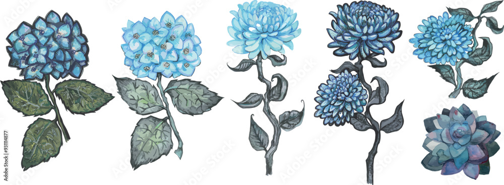Fototapeta premium Watercolor drawing blue chrysanthemum wedding illustration. Notebook сover clip art decoration invitation greeting card. Branch bouquet of flowers delicate petals painting floral elements isolated 