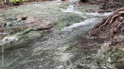 Flowing stream with emerald green color because it is a hot spring flowing through the roots of a large tree.