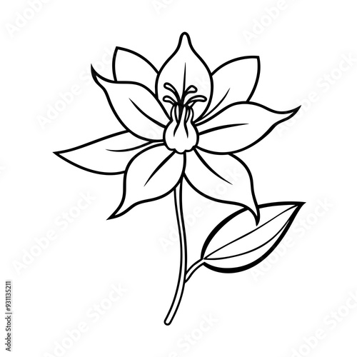 columbine flower line art vector illustration.