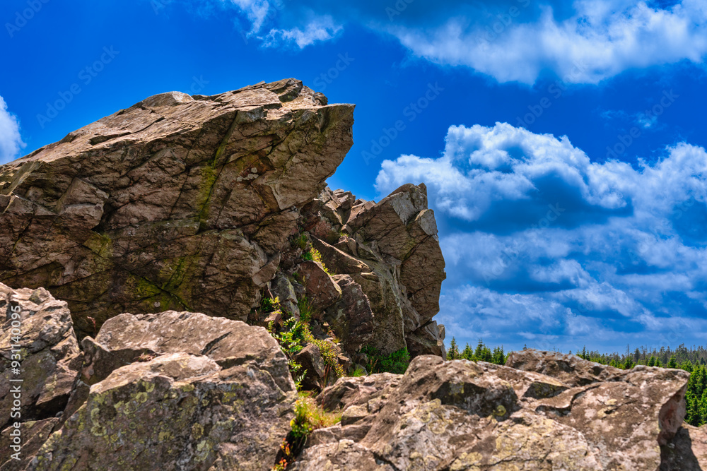 Fototapeta premium Wolfswarte im Harz