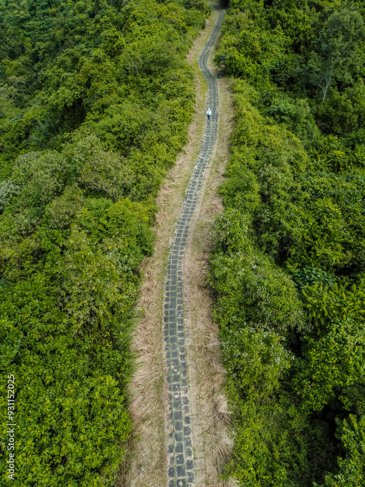 Aerial drone view of Campuhan Ridge Walk, a scenic 1.2 km path through the lush jungle of Ubud, Bali, Indonesia Aerial drone view of Campuhan Ridge Walk, a scenic 1.2 km path through the lush jungle of Ubud, Bali, Indonesia