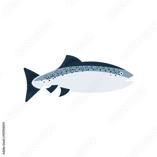 Vector illustration of fresh salmon sea fish on white. For menu, label, recipe, product packaging. Seafood design element. Grayling, chum. For action promotion and advertising, mockup. Caviar. EPS 10.