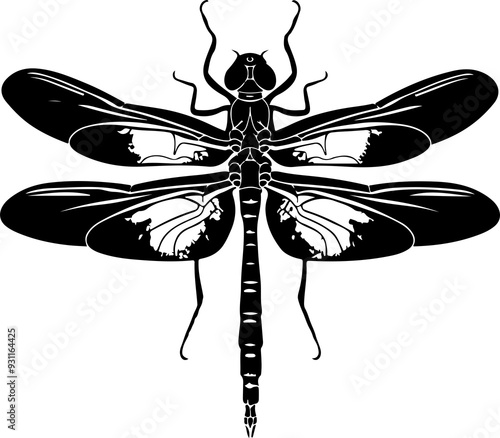 Dragonfly clipart desing illustration