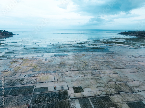 Aerial view of Seaweed Farms in Nusa Lembongan, Bali, Indonesia photo