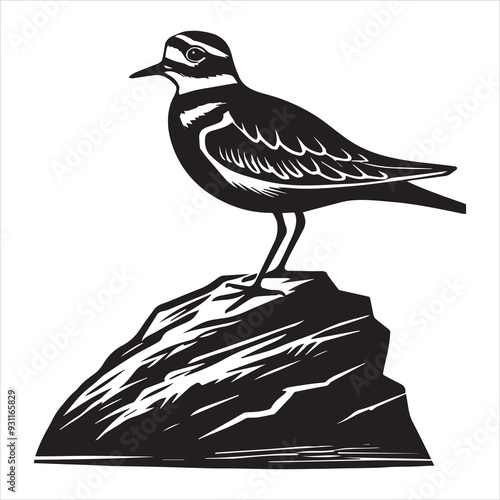 Killdeer Bird  Silhouette, Charadrius Vociferus Clipart, Killdeer perched on rock illustration in black and white