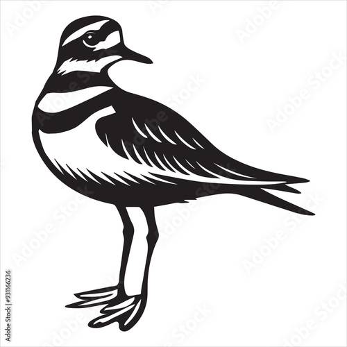Killdeer Bird  Silhouette, Charadrius Vociferus Clipart, Killdeer turned to the side illustration in black and white