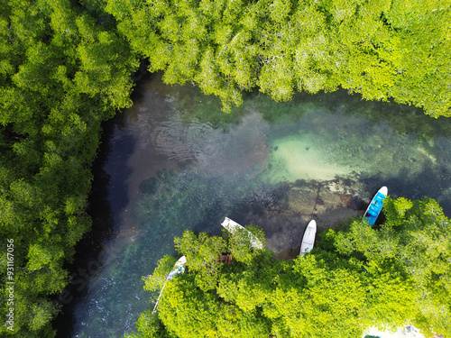 Aerial view of Mangrove forest in Jungutbatu, Nusa Lembongan, Bali, Indonesia photo