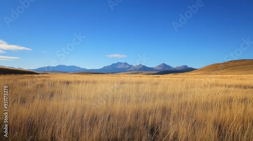 Golden Grassland Under Blue Skies